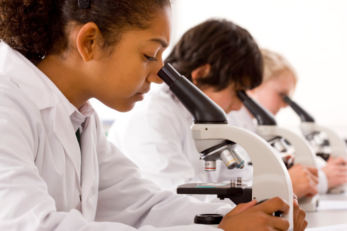students looking through microscopes